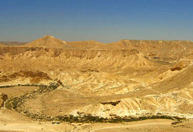 Desert Photo