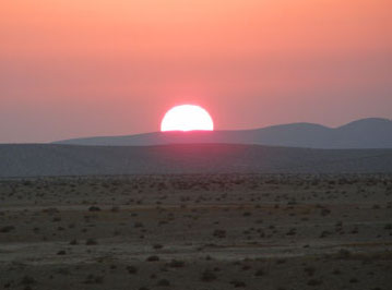 Desert Sunset